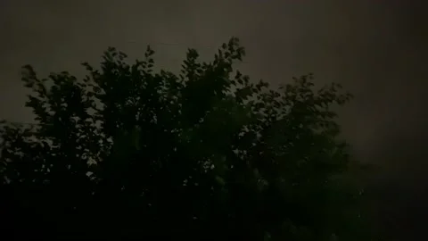 Storm - Wind Whips Tree Branches Around Stock Footage 157283994