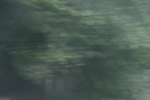 Storm Winds and Rain Stock Footage 317764
