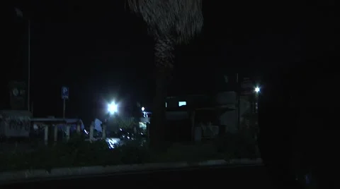 Storm winds blowing palm trees at night in Sicily, Italy. Video stock 50915816