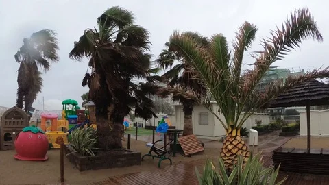 Storm winds blowing palm trees on tropical island. Rain on the playground near Stock Footage 108173930