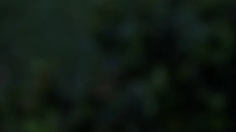 Storm5 Stock Footage 114186792