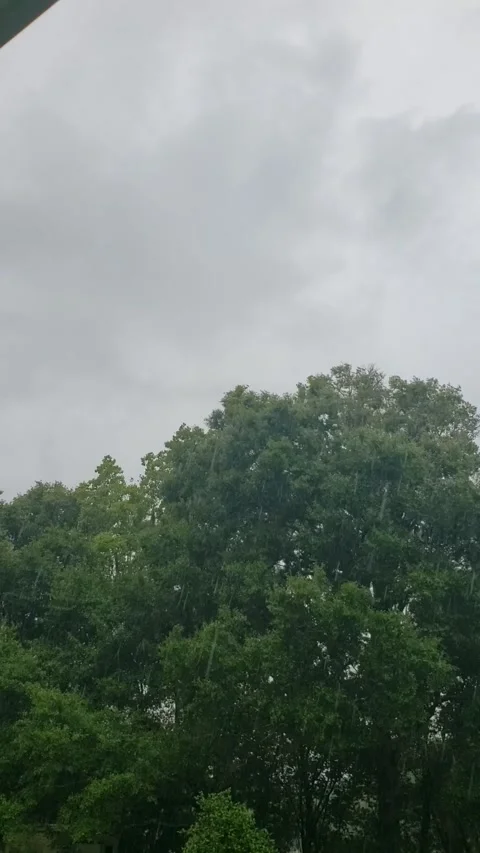Storming Rain over North Florida July 07 2021 Stock Footage 156867075