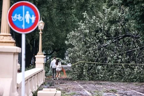 Storms affect Buenos Aires Metropolitan Area, Argentina - 17 Dec 2023 Stock Photos