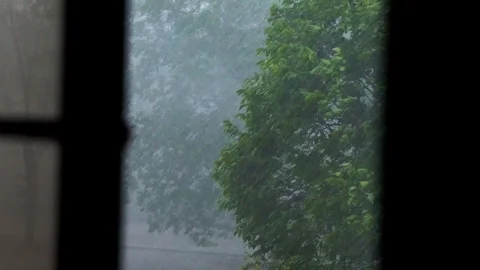 Storms and heavy rain, strong wind blowing trees Stock Footage