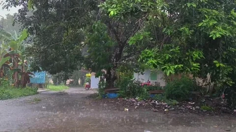 Storms Stock Footage 241051581