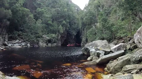 Storms river, south africa Stock Footage 323713784