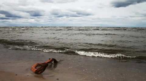 Stormy baltic sea. Stock Footage 39579463