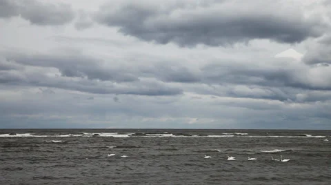 Stormy Baltic sea. Stock Footage 39579499