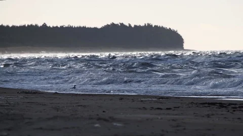 Stormy Baltic sea in winter. Stock Footage 101456872