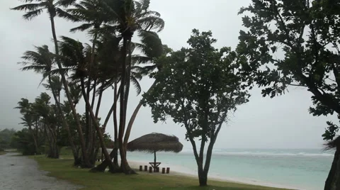 Stormy beach approaching hurricane Stock Footage 50303679