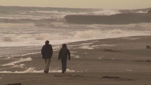 Stormy beach scene Stock Footage 90211642
