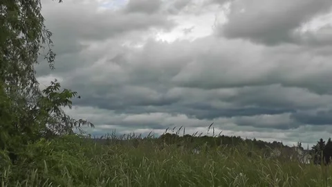 Stormy big gray storm clouds over a field in the countryside with tall grass Stock-Footage 166331146