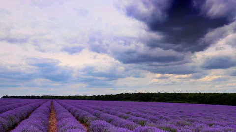 Stormy clouds Stock Footage 202890910