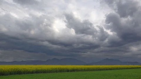 Stormy clouds moving on cloudy sky over blossom rape field, the force of nature, Stock Footage