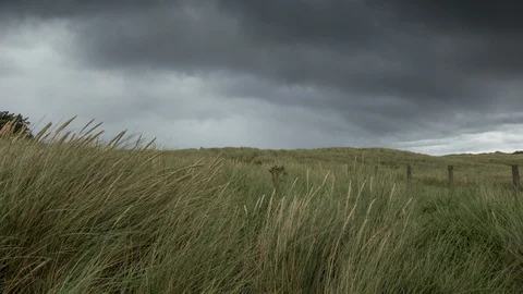 Stormy clouds moving over a green field 库存影片 99400667