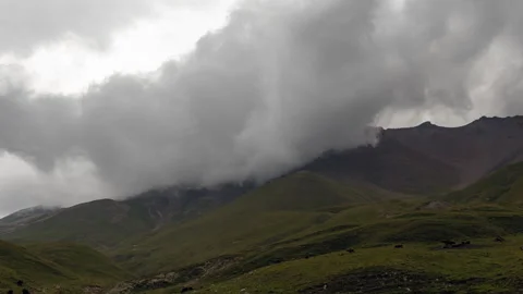 Stormy Clouds over the mountains valley with cows Stock Footage 172523288