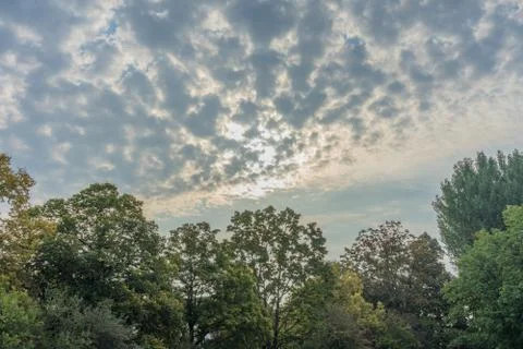 Stormy clouds over tree line forrest with blue and red sky Photos