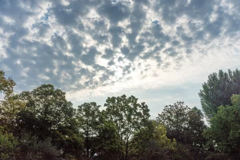 Stormy clouds over tree line forrest with blue and red sky Stock Photos