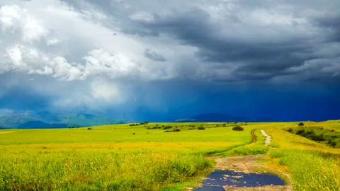 Stormy clouds quickly move over the green fields of young wheat, lit by sunlight Stock Footage 91522039