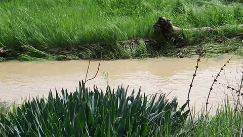Stormy creek on the border of the desert Stock Footage 92207327
