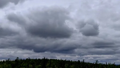 Stormy dark clouds moving fast over forest landscape. Stock-Footage 335205715