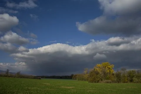 Stormy dark clouds over the trees and field. The fall scene Stock Photos