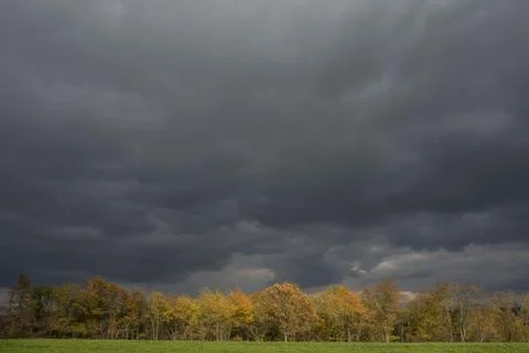 Stormy dark clouds over the trees and field. The fall scene Stock Photos