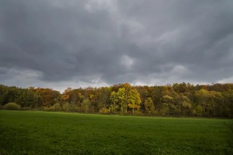 Stormy dark clouds over the trees and field. The fall scene Stock Photos