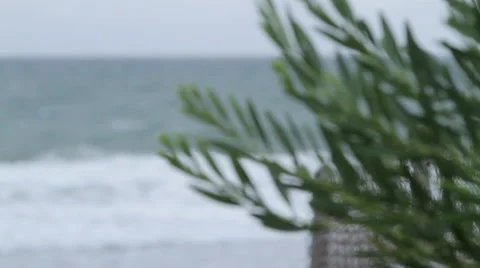 Stormy day at the beach Stock Footage 46463017