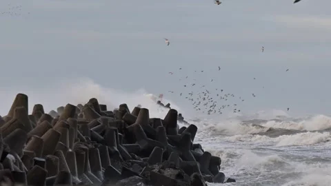 Stormy day, Stock Footage 325077964