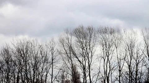 Stormy day landscape Stock-Footage 48733554