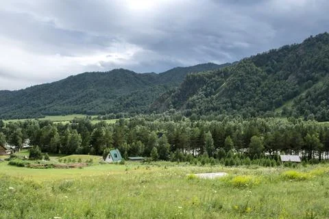 Stormy deep river in a mountain valley surrounded by pine forest Stock Photos