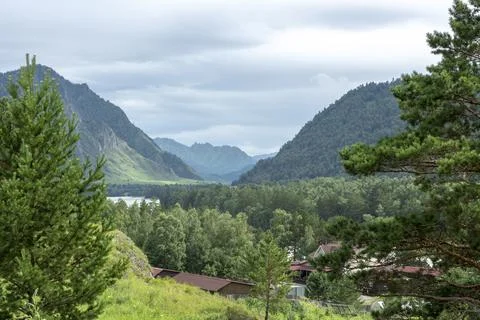 Stormy deep river in a mountain valley surrounded by pine forest Foto stock