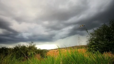 Stormy field 스톡 동영상 12336912