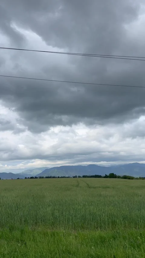 Stormy Green Meadow Mountains Stock Footage 342501941
