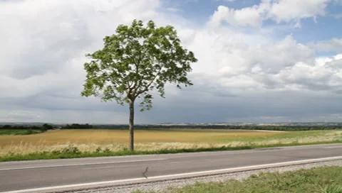 Stormy landscape Vídeos de archivo 7905483