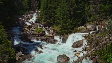 Stormy mountain river among forest Video stock 304322419