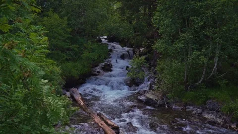 Stormy mountain river among forest Video stock 304322470