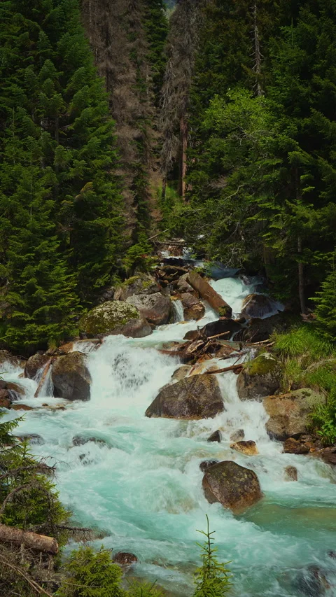 Stormy mountain river among forest Video stock 304322526