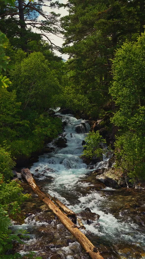 Stormy mountain river among forest Video stock 304322533
