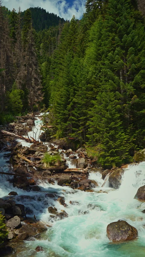 Stormy mountain river among forest Video stock 304322537