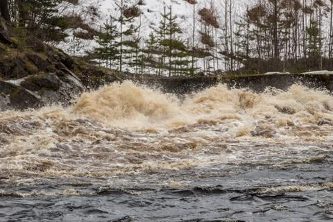 Stormy mountain river in the background of the forest Foto stock