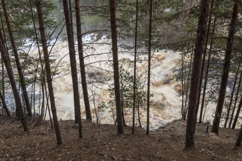 Stormy mountain river in the background of the forest Stock Photos