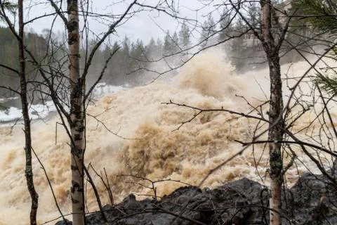 Stormy mountain river in the background of the forest Foto stock