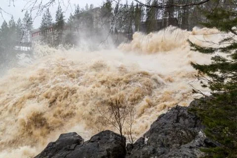 Stormy mountain river in the background of the forest Stock Photos
