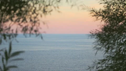 A stormy mountain river flows through the bushes at sunset. Stock Footage 228886940