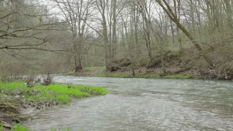 Stormy mountain river in the mountains between the forest. Vídeos de archivo 154121091