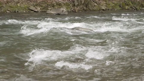 Stormy mountain river in the mountains between the forest. Vídeos de archivo 154121169