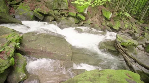 Stormy mountain stream in the mountains between the woods. Vídeos de archivo 154264775