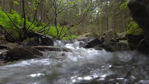 Stormy mountain stream in spring forest Stock Footage 156761393